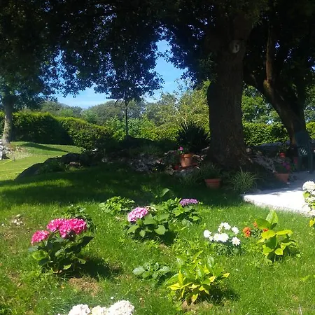 La Encina Llanes