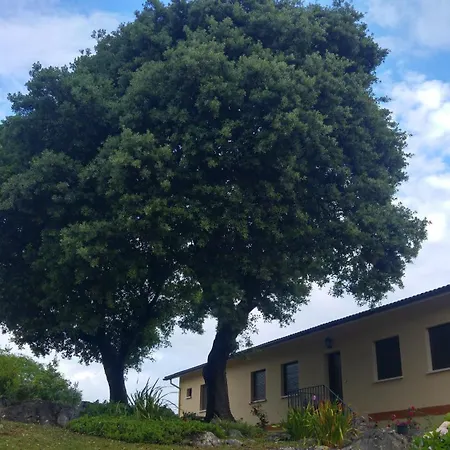 La Encina Celorio Parking *
